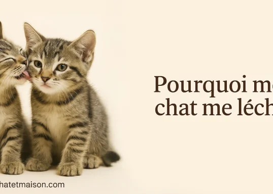 Chat-leche-pouruqoi