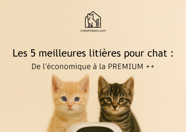 litiere-chat-maison